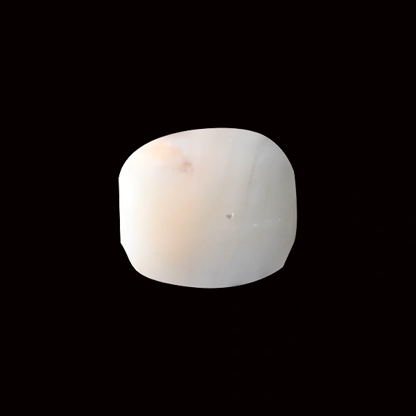 White Coral - 4.13 carats